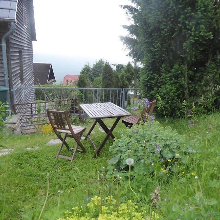 Haus Bergwiese - Fuer Naturfreunde, Familien, Wanderer Gehlberg Екстериор снимка